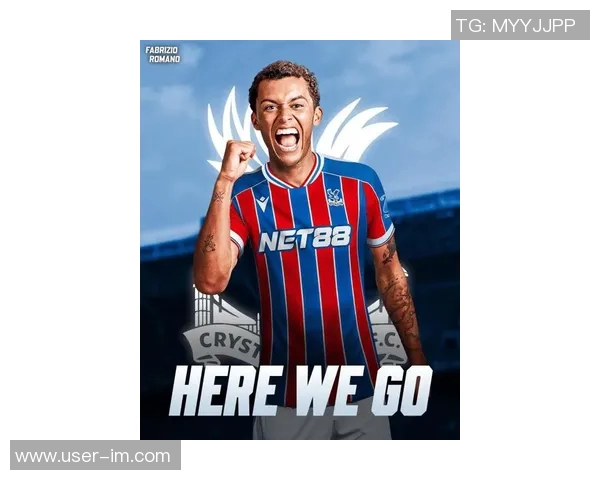 英媒称热刺可能在一月出售布伦南约翰逊伯恩茅斯和水晶宫有意加盟